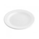 Plato 15