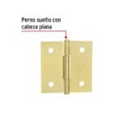 Bisagra cuadrada 2", latonado, cabeza plana, hermex basic - Imagen 2