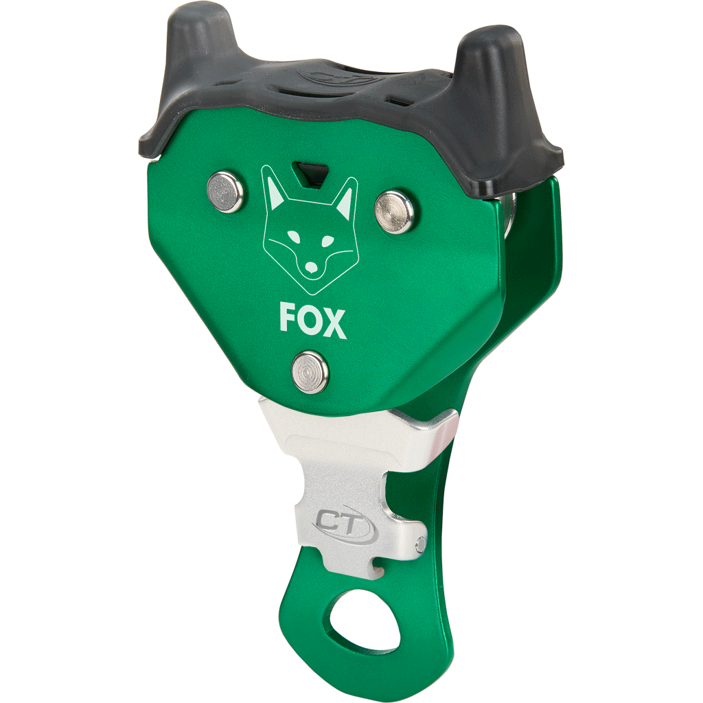 FOX