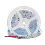 CINTA LED 220V