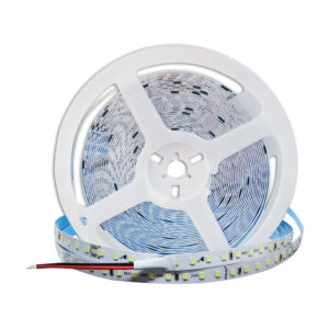 CINTA LED 220V
