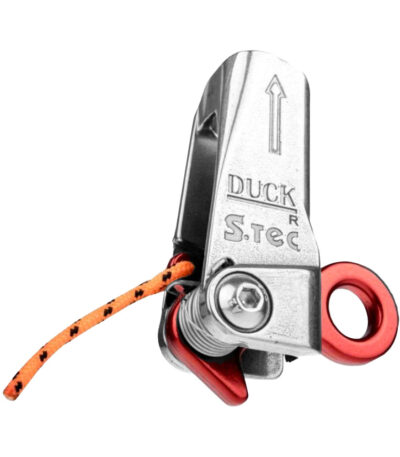 duck r