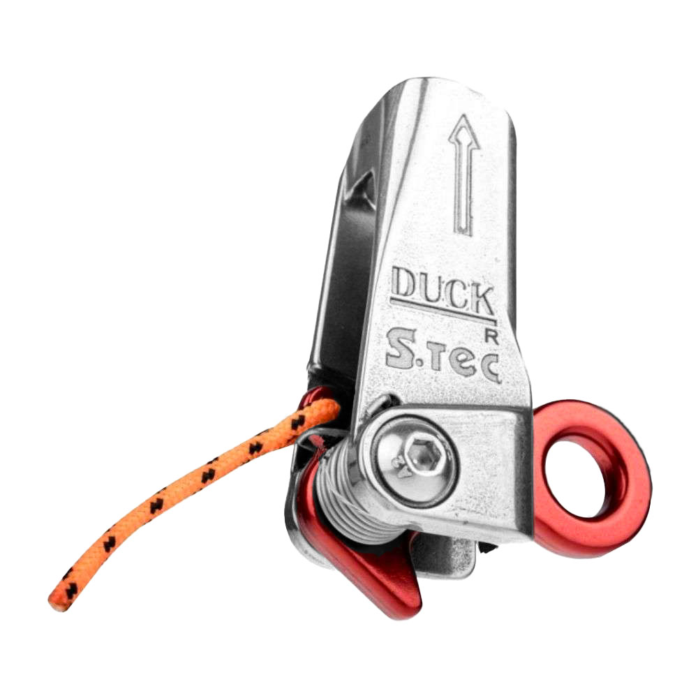 DUCK R