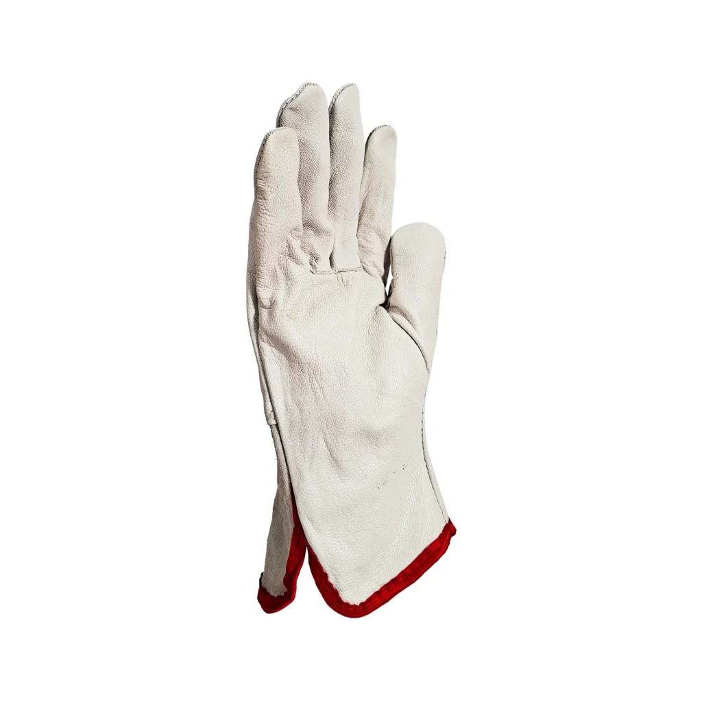 Conductor Cuero Champagne 10″