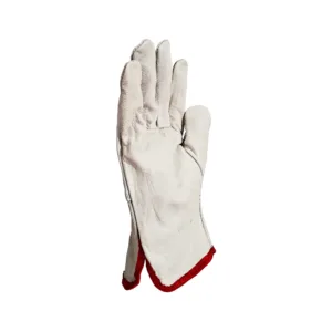 Conductor Cuero Champagne 10″